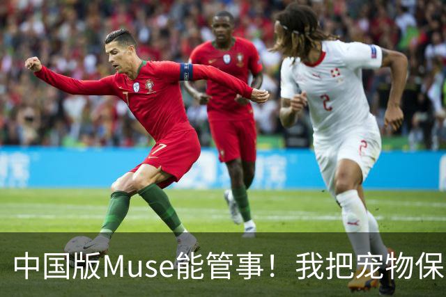 中国版Muse能管事！我把宠物保单、双11算价和周末旅行全交给了灵光2.0