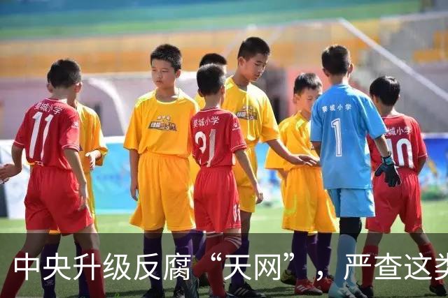 中央升级反腐“天网”，严查这类问题，查到一起处分一起！