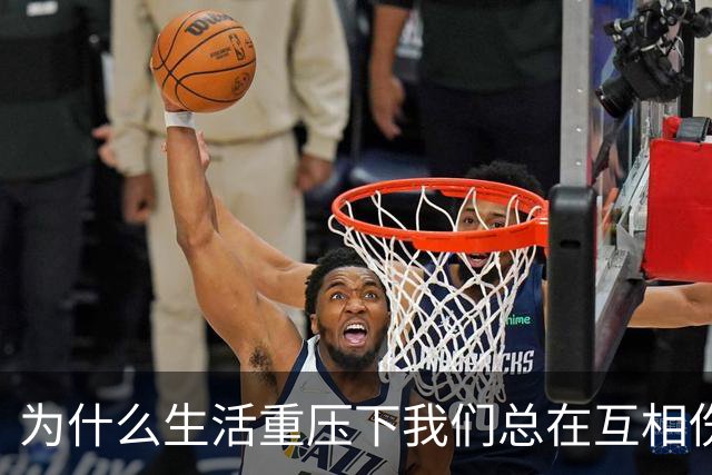 为什么生活重压下我们总在互相伤害？
