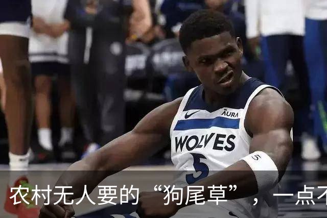 农村无人要的“狗尾草”，一点不起眼，带回家还有这“妙用”！
