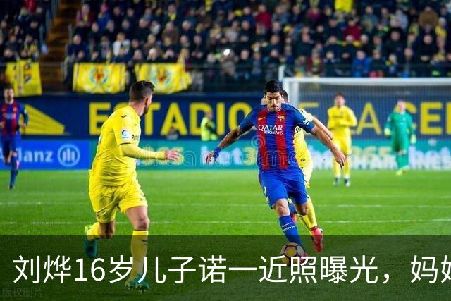 刘烨16岁儿子诺一近照曝光，妈妈发文