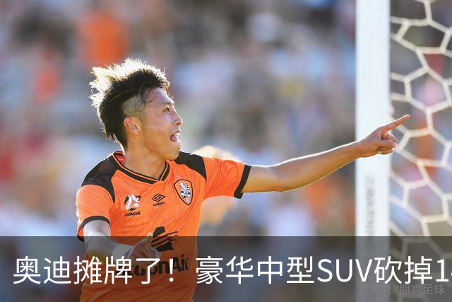 奥迪摊牌了！豪华中型SUV砍掉149000元，全系2.0T+quattro四驱
