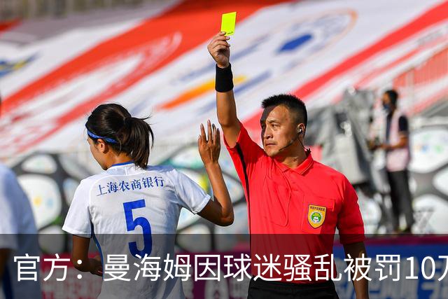 官方：曼海姆因球迷骚乱被罚10万欧，下一主场比赛部分看台关闭