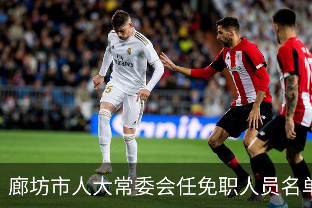 廊坊市人大常委会任免职人员名单