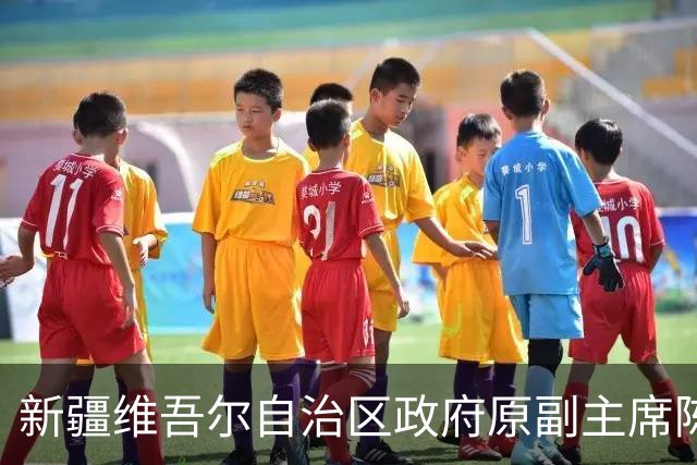 新疆维吾尔自治区政府原副主席陈伟俊被公诉，曾被批“毫无纪法观念，贪婪无度”