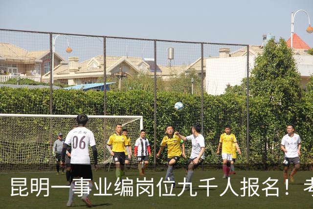 昆明一事业编岗位九千人报名！考上就是“云南王”
