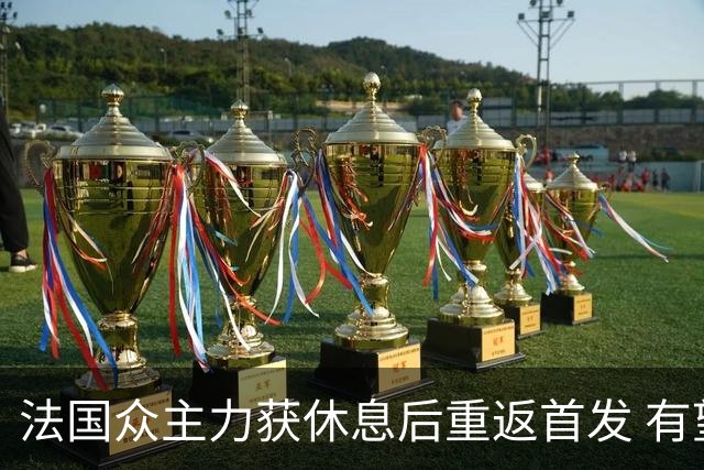 法国众主力获休息后重返首发 有望轻松击败波兰晋级
