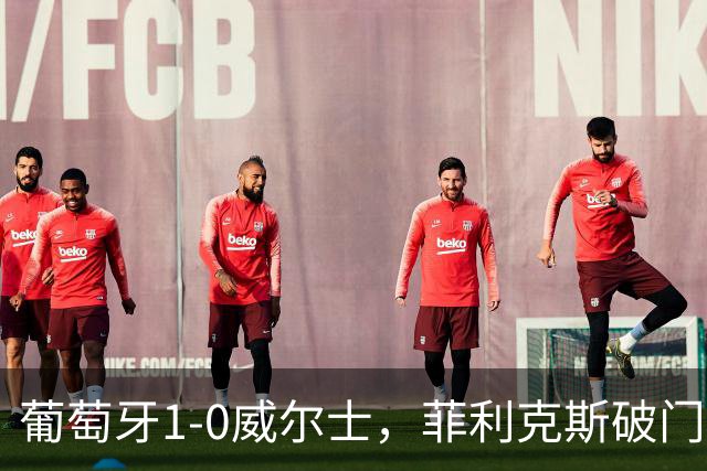 葡萄牙1-0威尔士，菲利克斯破门，C罗进球被吹