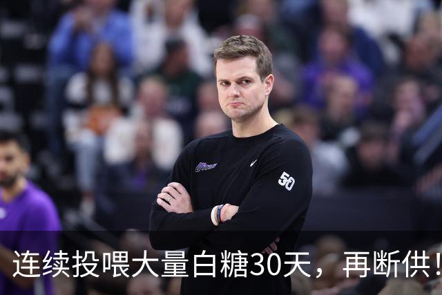 连续投喂大量白糖30天，再断供！国外网红扮“蚂蚁天神”整蛊野生蚁群