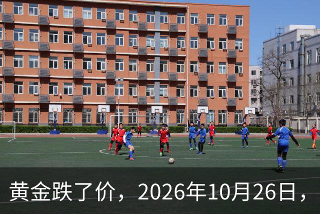黄金跌了价，2026年10月26日，中国黄金最新价格，人民币黄金最新价格一览