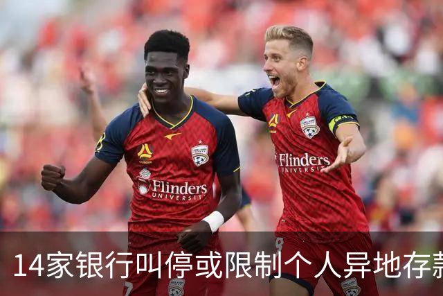 14家银行叫停或限制个人异地存款
